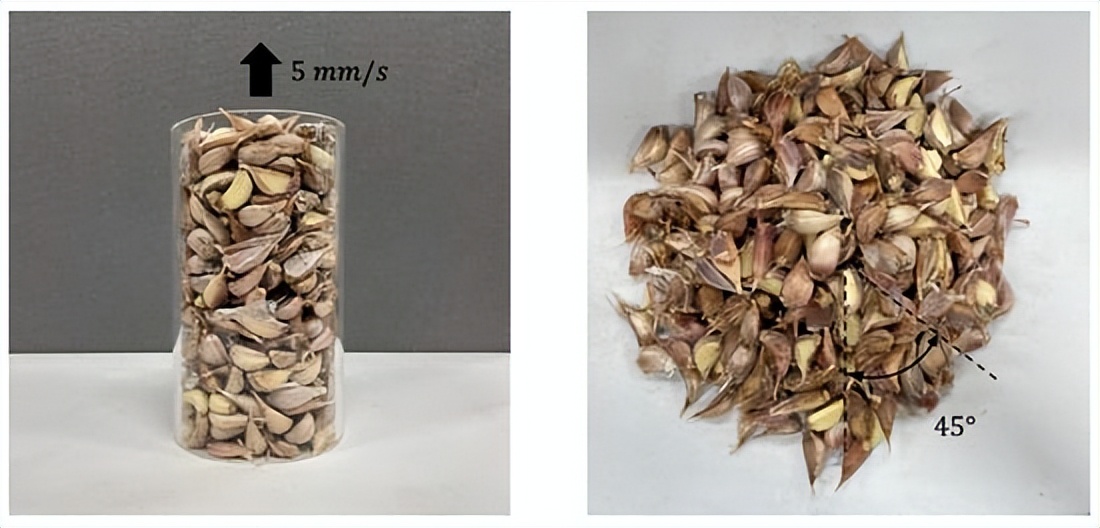 离散元法如何优化大蒜种植机计量装置的桶尺寸？