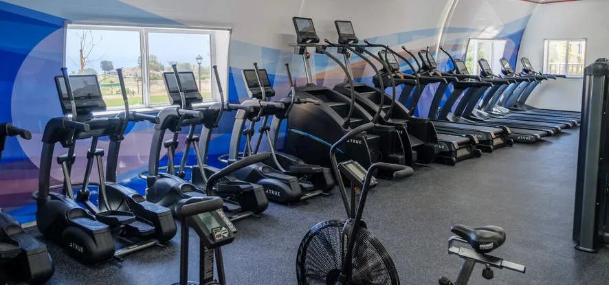 美国高校top10,美国top100大学位置