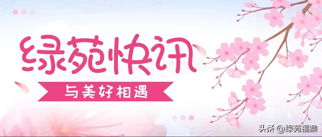 济南市绿苑福鼎老年公寓为老人组织趣味投球活动