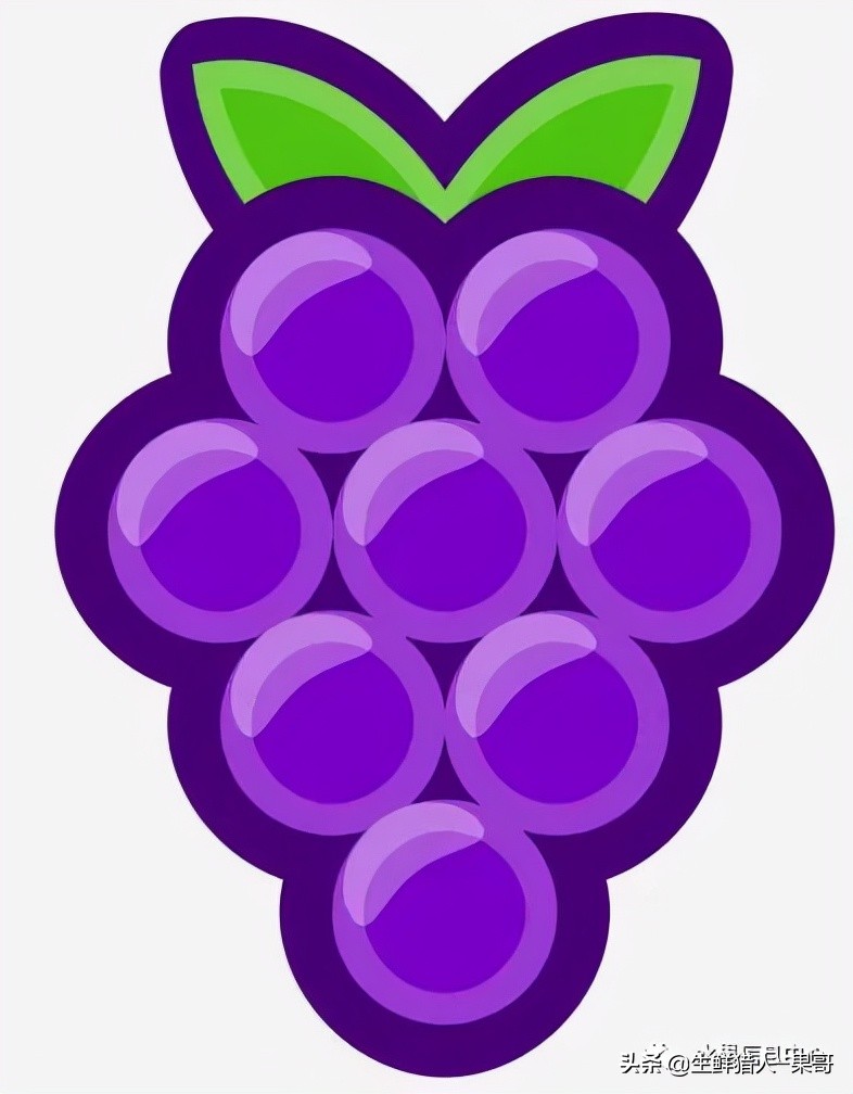 在水果中浆果是分哪几种,水果分类浆果