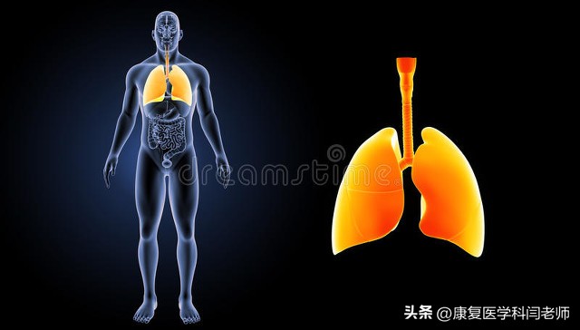 偏瘫言语康复训练,脑中风的语言康复训练方法