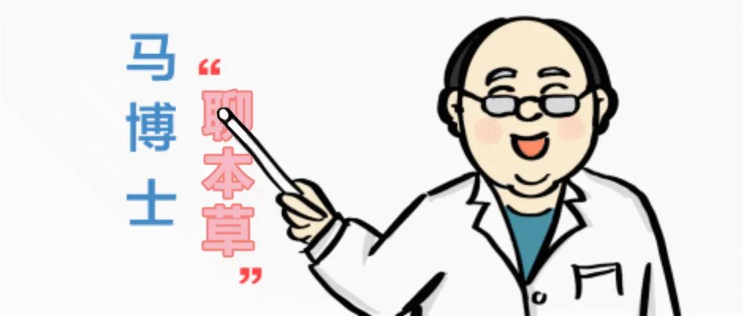 马博士说中医,马博士中医养生