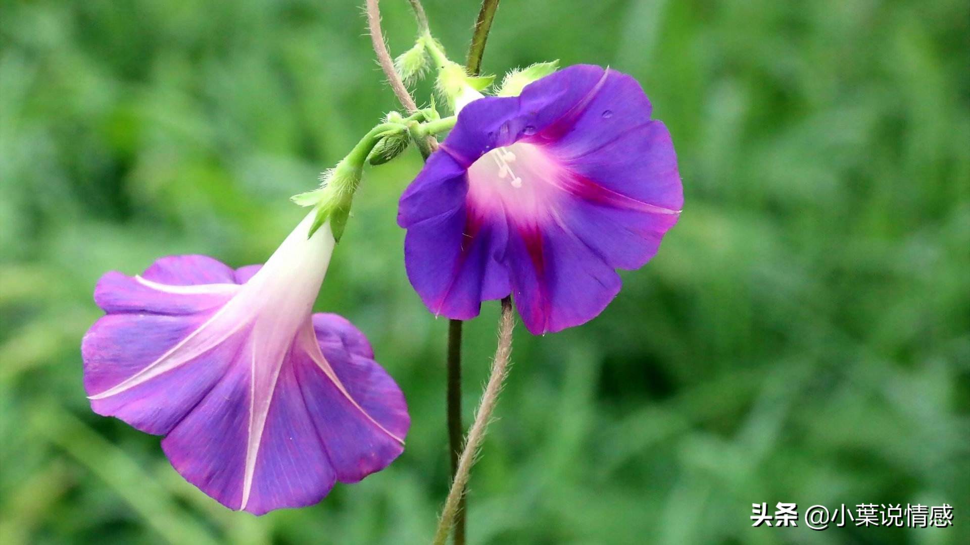 当爱情来临的时候，和一位空军的故事