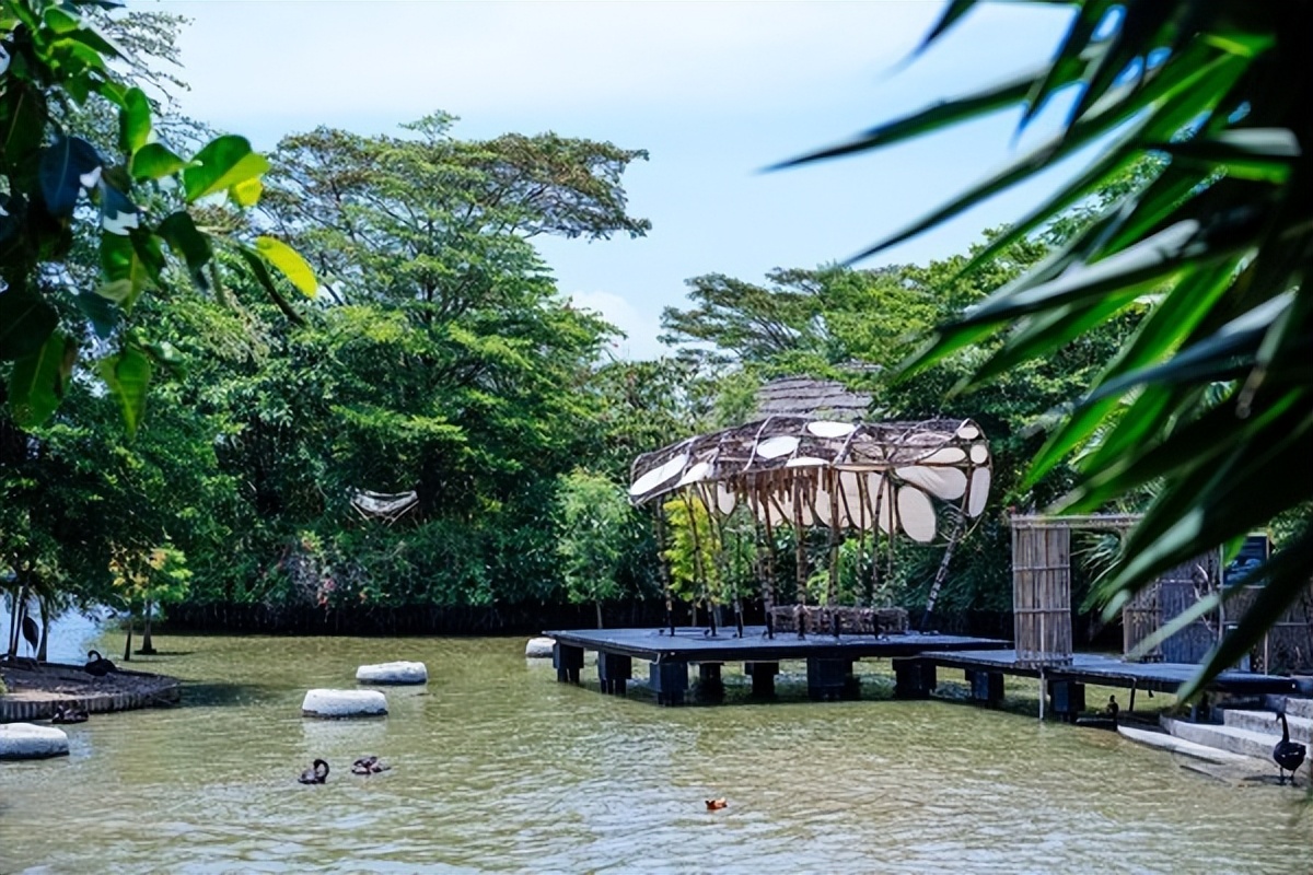 湾区光影魅力,南沙湾区超美风景线