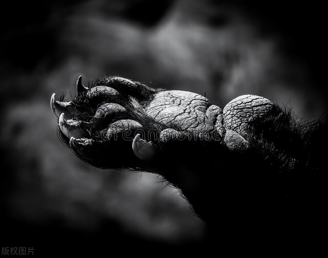 我在俄罗斯工作时候的中国同事，为了赚外快，偷偷帮人带*私走**物品