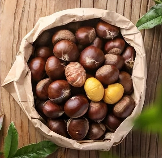 板栗发芽了还能吃吗视频,板栗放几天还能吃吗