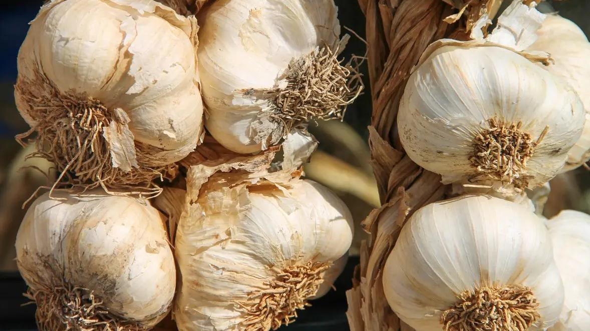 早上空腹喝牛奶吃鸡蛋会得结石吗,空腹喝牛奶吃鸡蛋会拉肚子吗