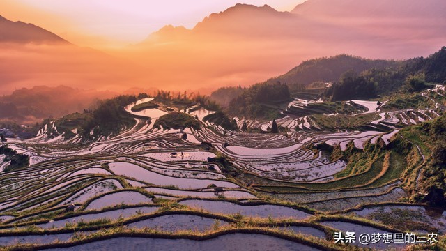 退耕还林守住绿水青山,国家对退林还耕的问题整治