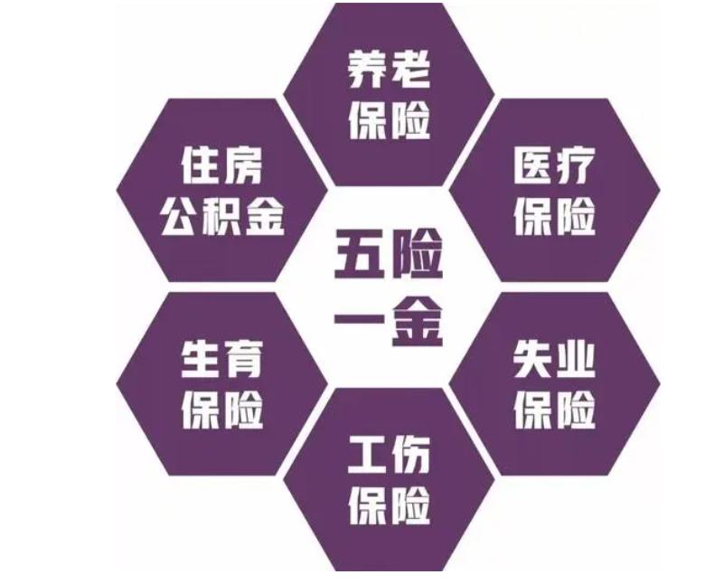 国家对五险一金有什么新规定,企业必须缴纳五险还是三险