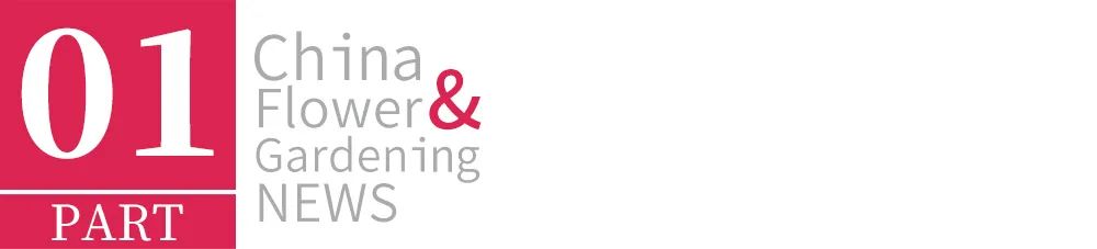 灞变笢鍥藉叞绉嶈嫍,100涓囦竴鑻楃殑鍏拌姳绌剁珶鏄粈涔堜汉鍦ㄤ拱