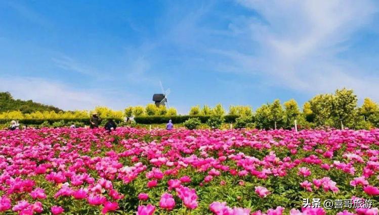 大连金州自驾有哪些好玩的景点,大连金州海边都有什么旅游景点