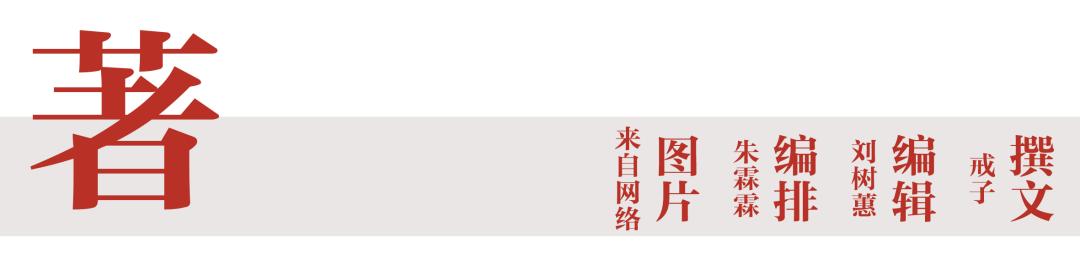 布丁现在在哪儿,布丁为什么那么厉害