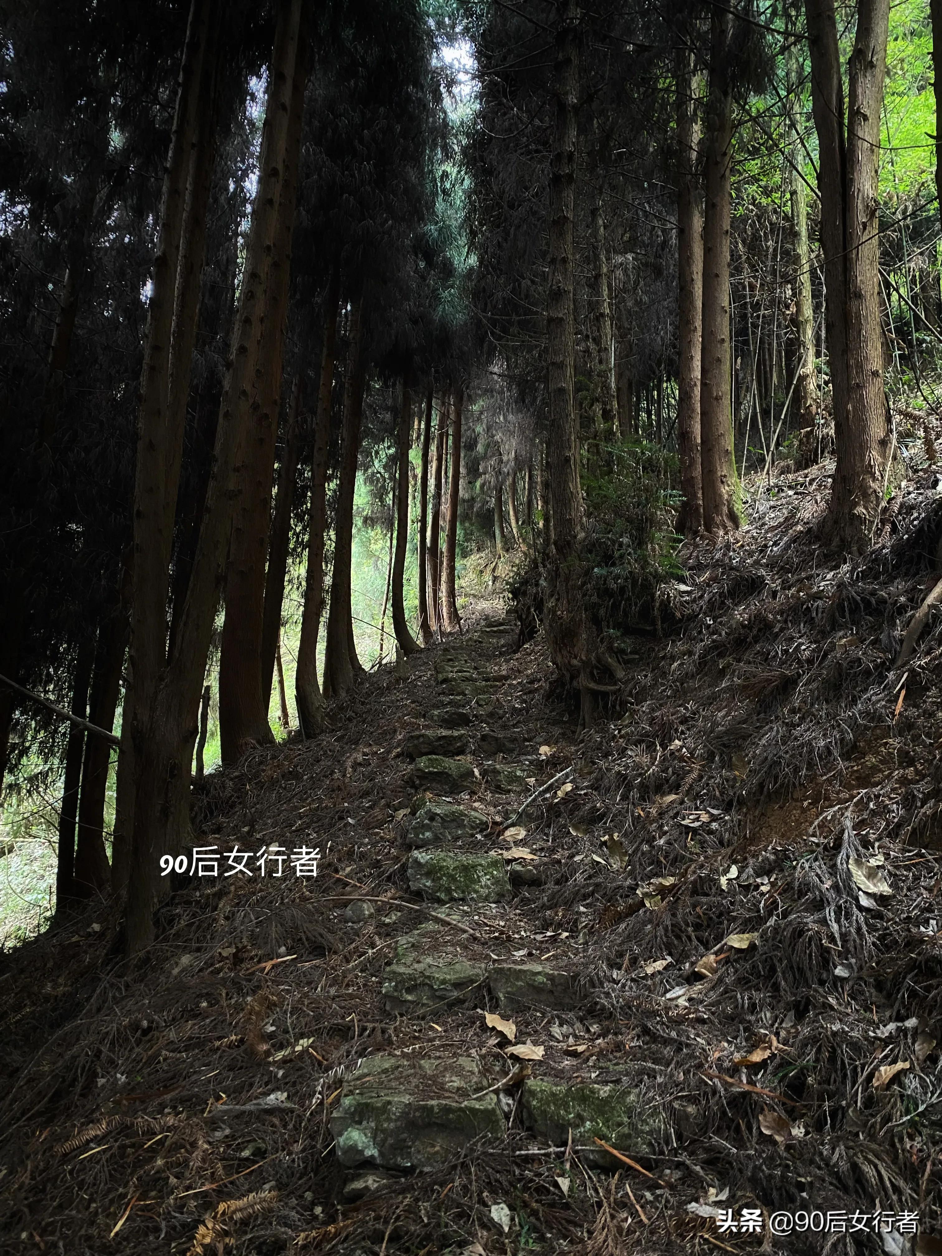 徒步大邑华山村,徒步大邑万佛顶