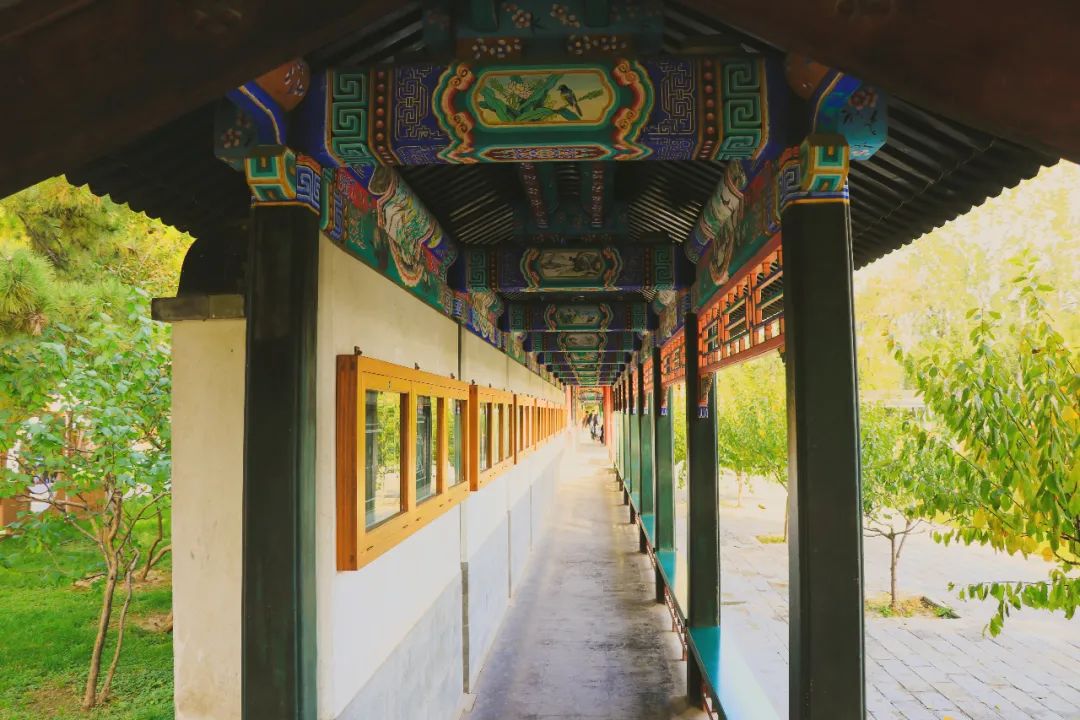 20个经典成语,20大经典成语