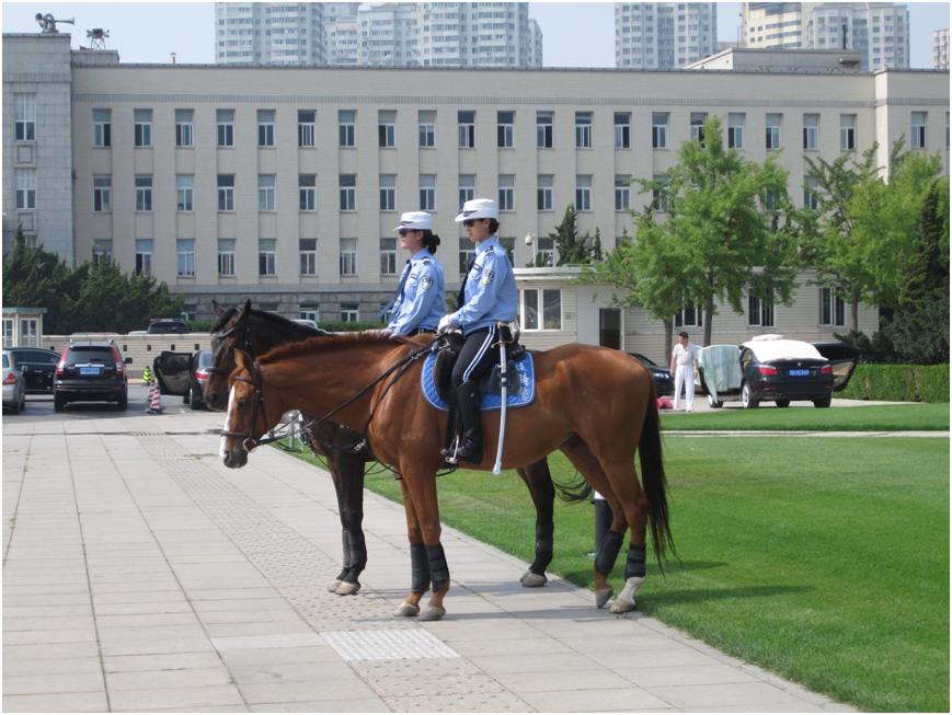 记录大连游,周末游大连
