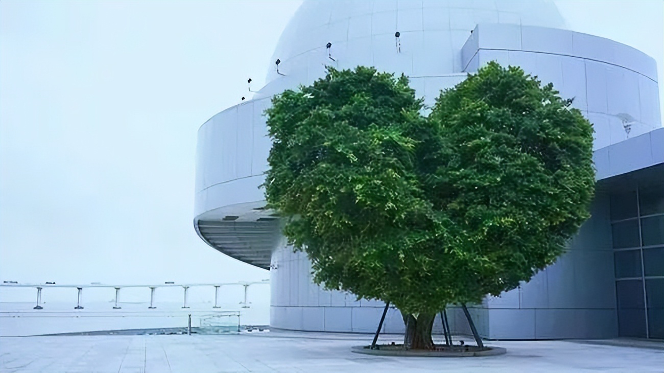 孝顺妈妈该怎么做,哄妈妈的十个方式