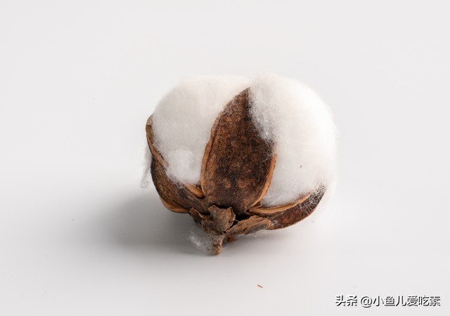 准妈妈学习记录篇|新生儿宝宝要怎样选衣服？