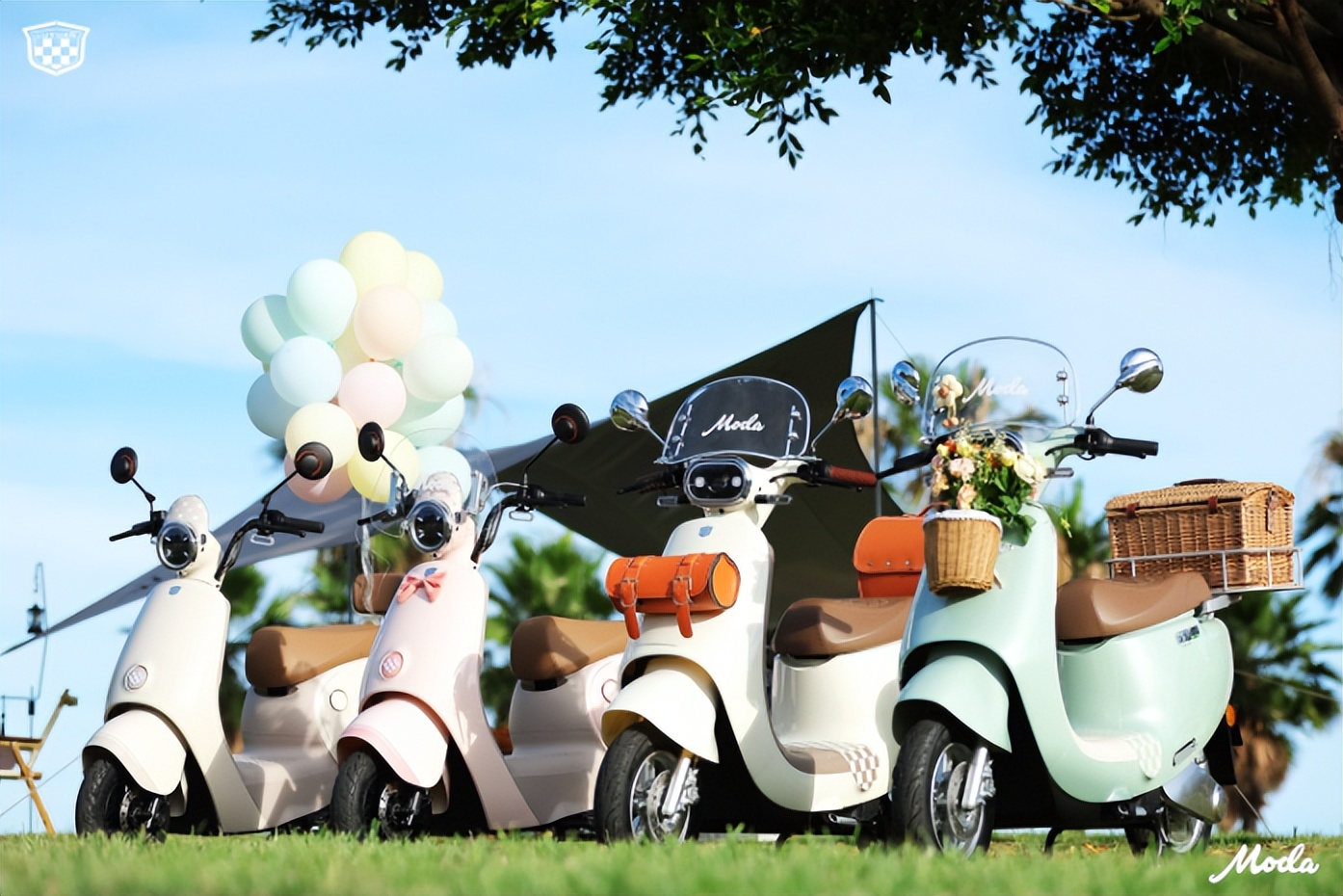 修车师傅告诉你车坏了,电动车配件维修技巧图解