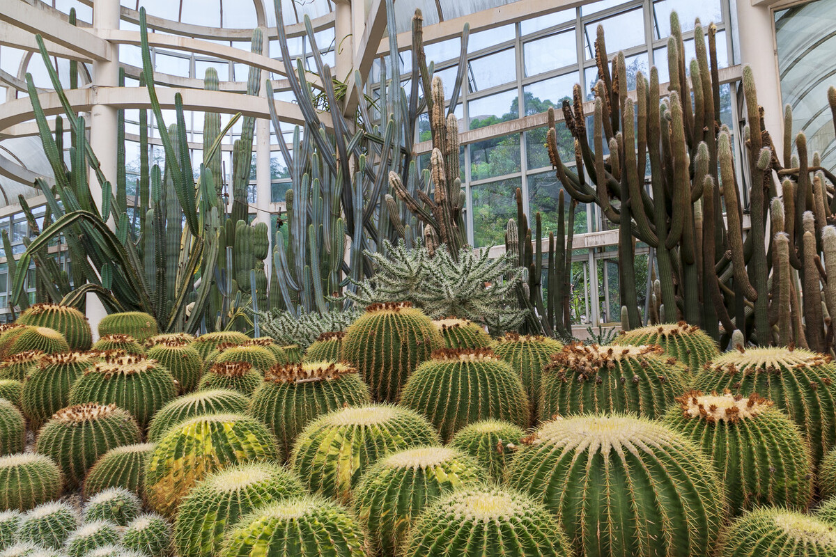 厦门泉州旅游攻略,厦门冬天旅游攻略