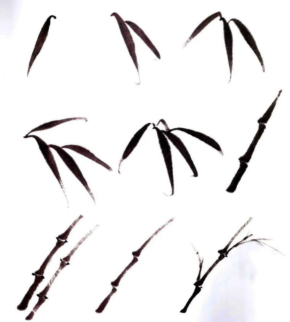 学国画软件,如何学国画