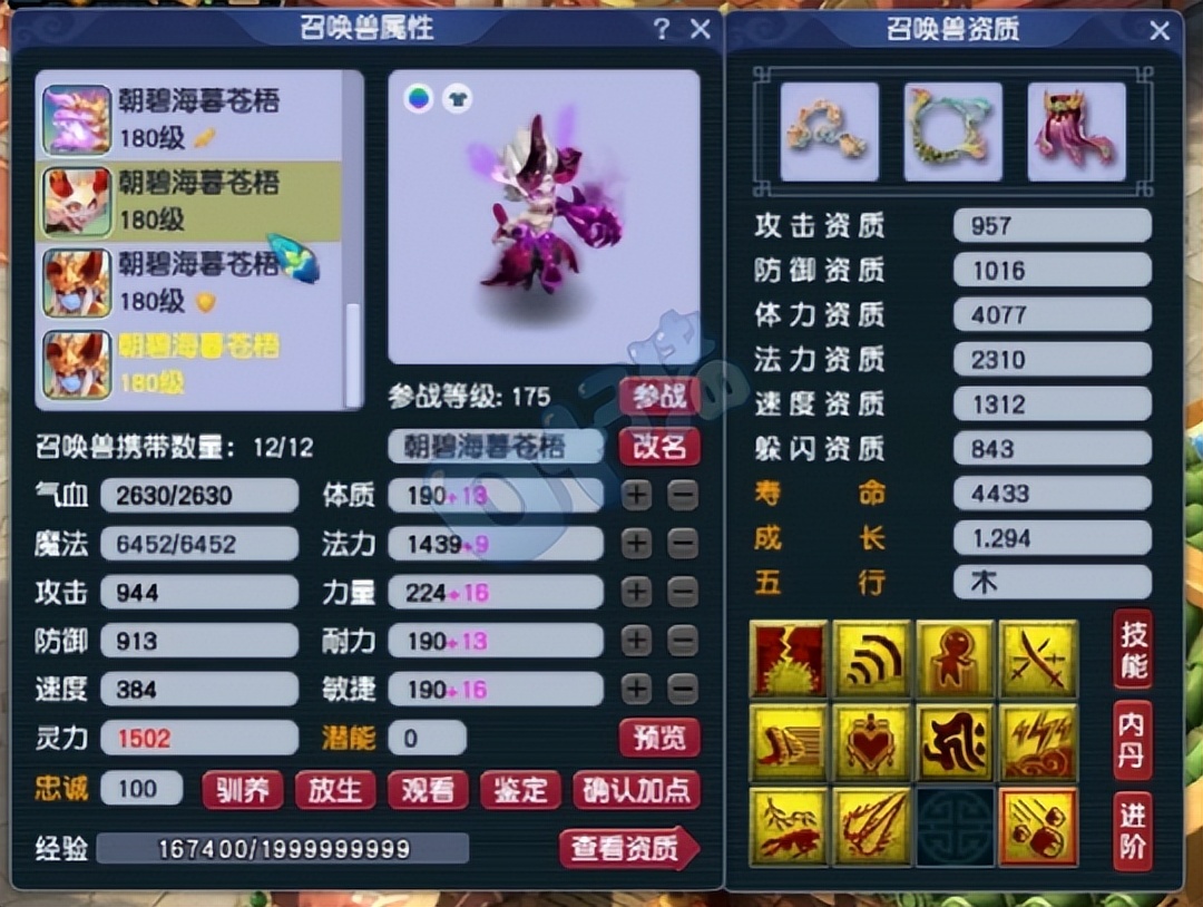 梦幻西游五庄观展示,梦幻西游第一五庄