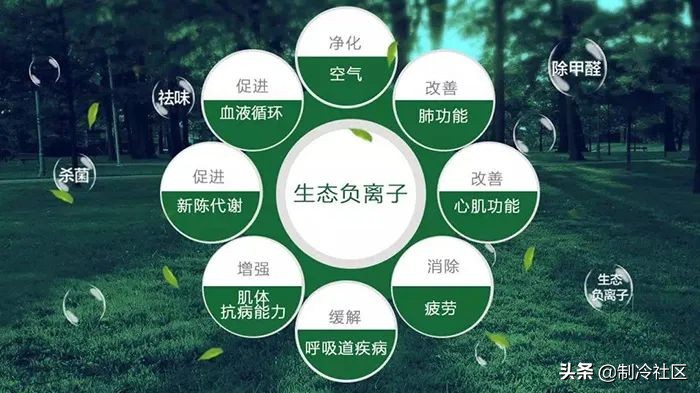 除湿机高价低价区别,除湿机价格