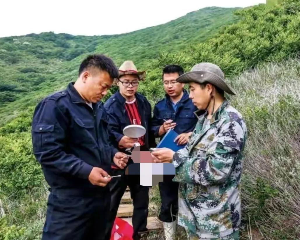 大连蛇岛上的“守蛇人”，守着2万条毒蛇，管蛇吃喝，为蛇涂药水