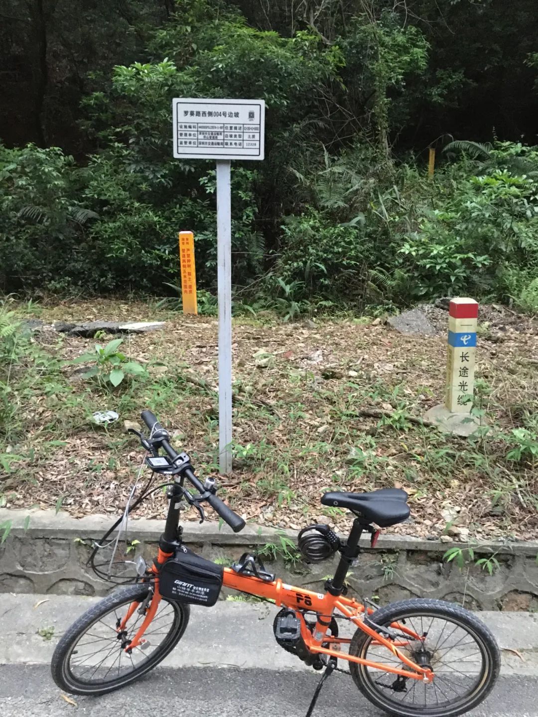 旭光车行雅迪电动车,旭光单车