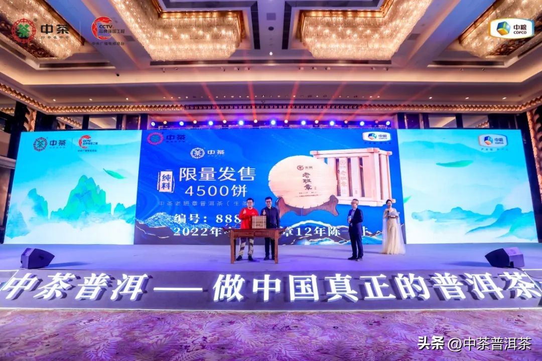 中茶普洱茶经销商信息大会,中茶2024年经销商大会