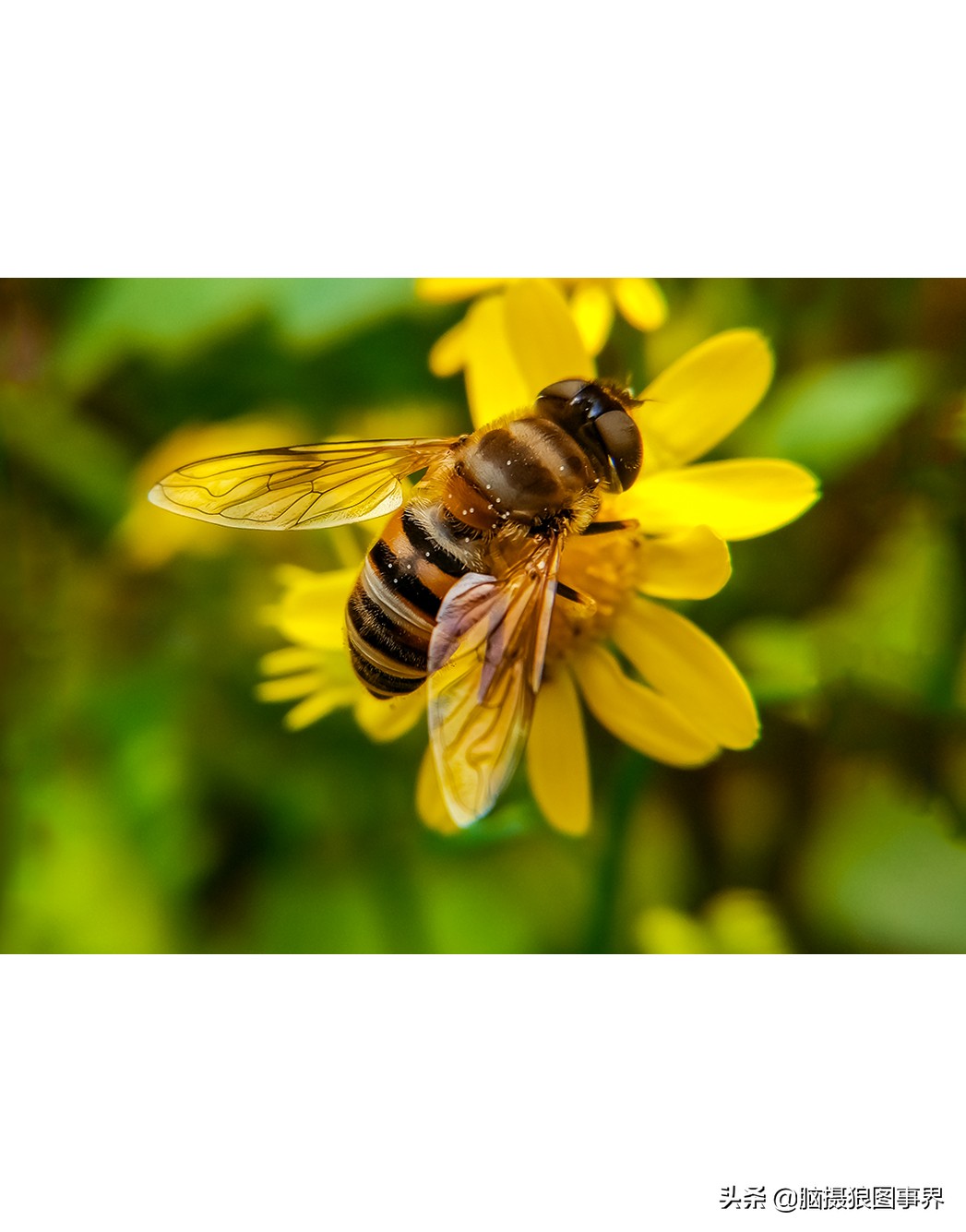 手机拍照不清晰怎么才能拍的好看,vivo手机拍照模糊怎样才能变清晰