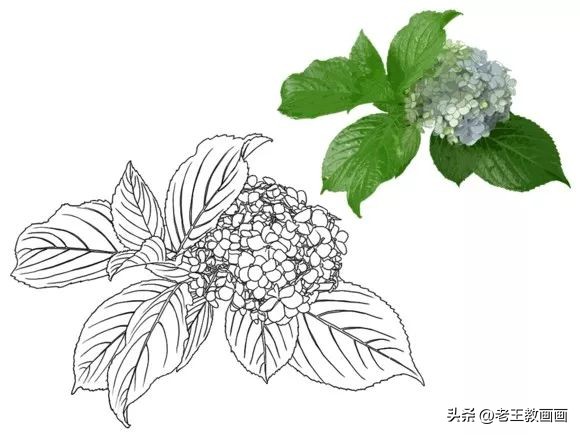 100种绘画基础入门,100幅零基础绘画教程