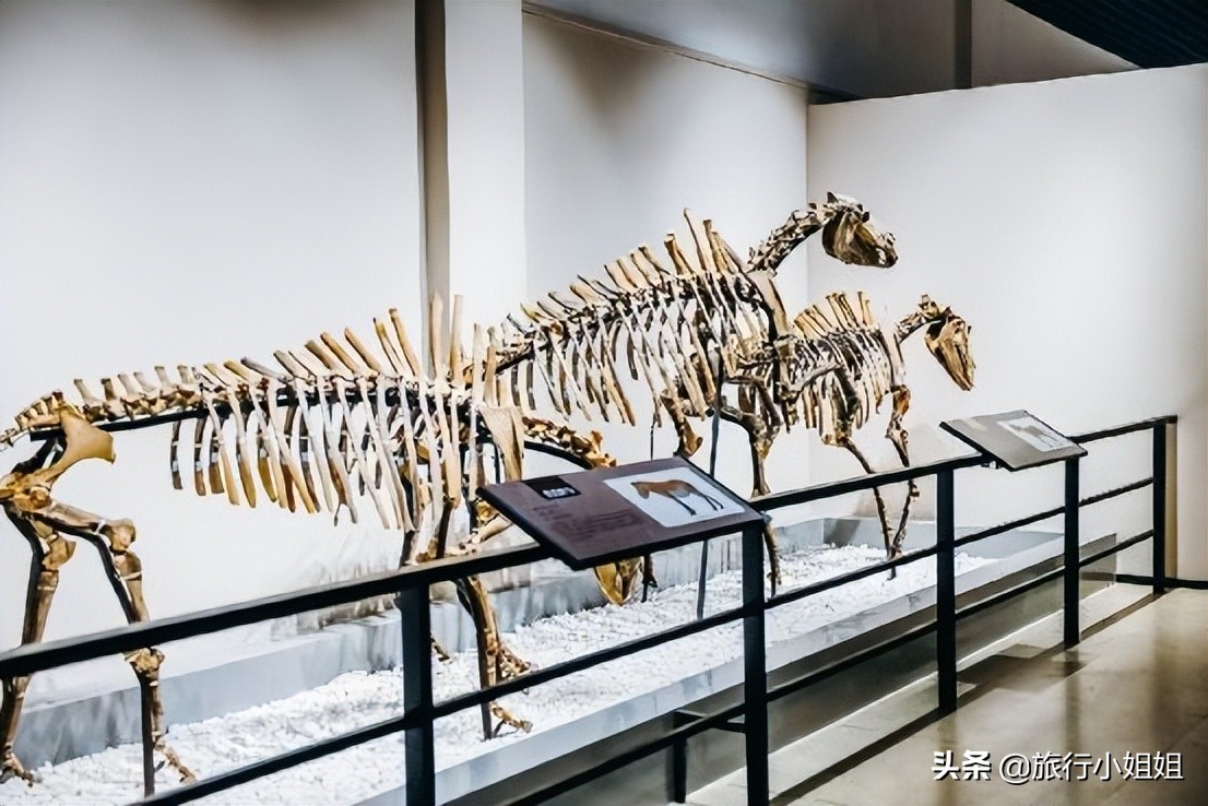 夏日海边浪漫迷人,滨城风光秀丽浪漫气息爆表