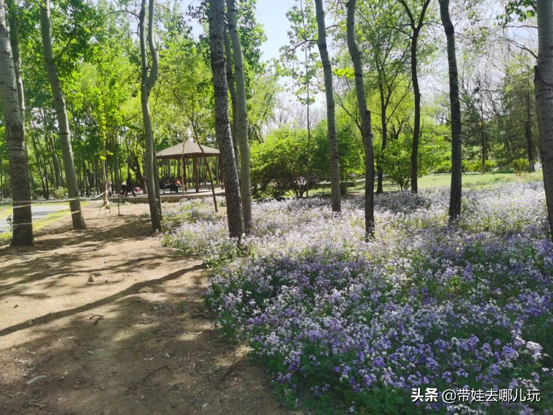 盘点各城市的骑行绿道,北京朝阳区39公里绿道将开放骑行