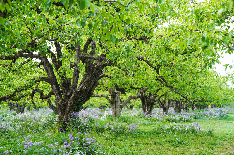 宿州两日游,宿州旅游攻略三日游
