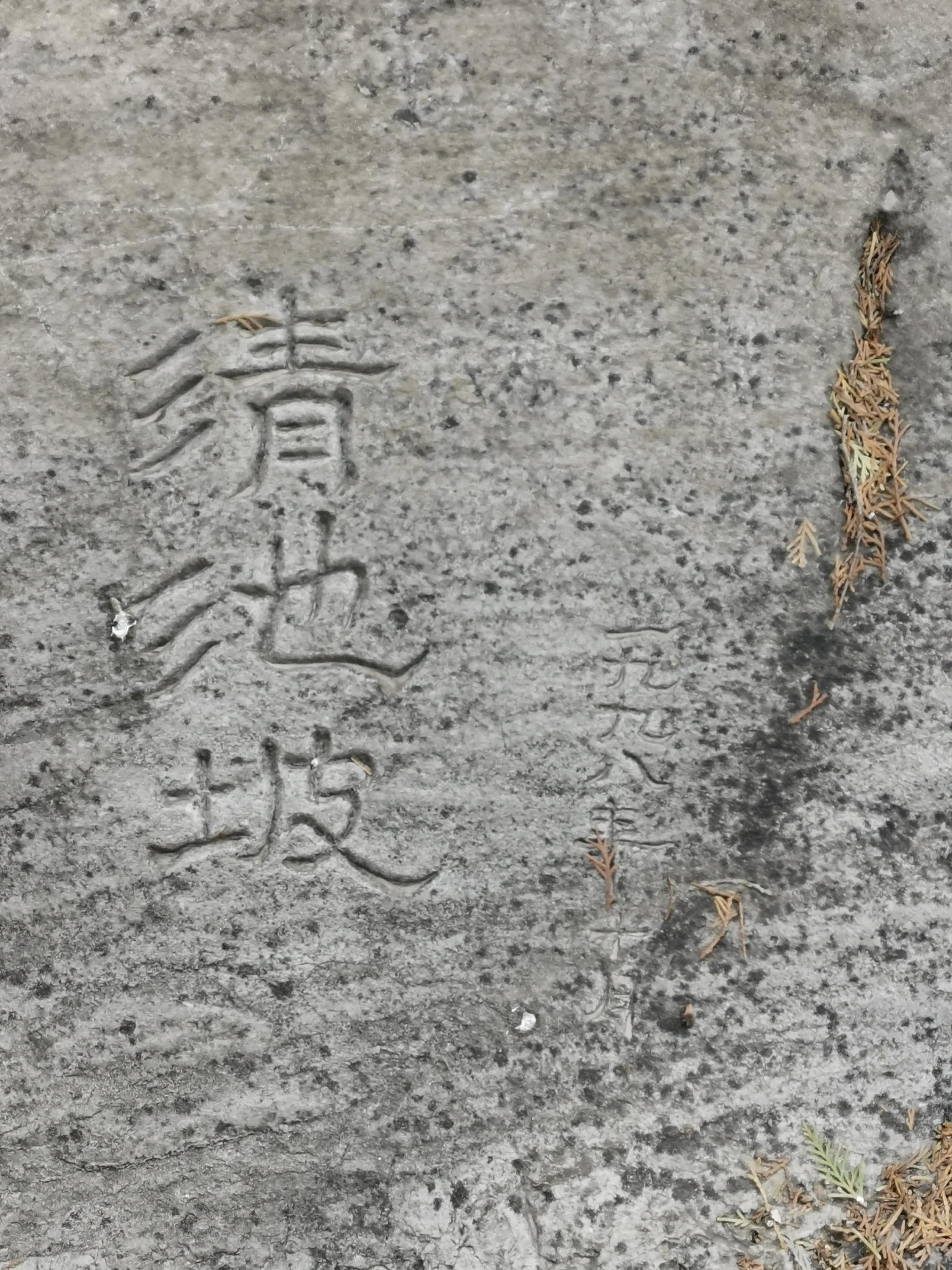 清心寡欲的诗,清心寡欲