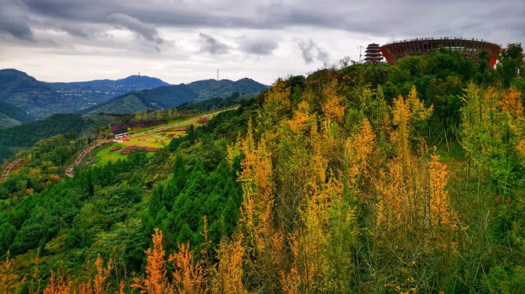 烟雨江湖成都境内宝藏,成都附近小众宝藏旅行攻略