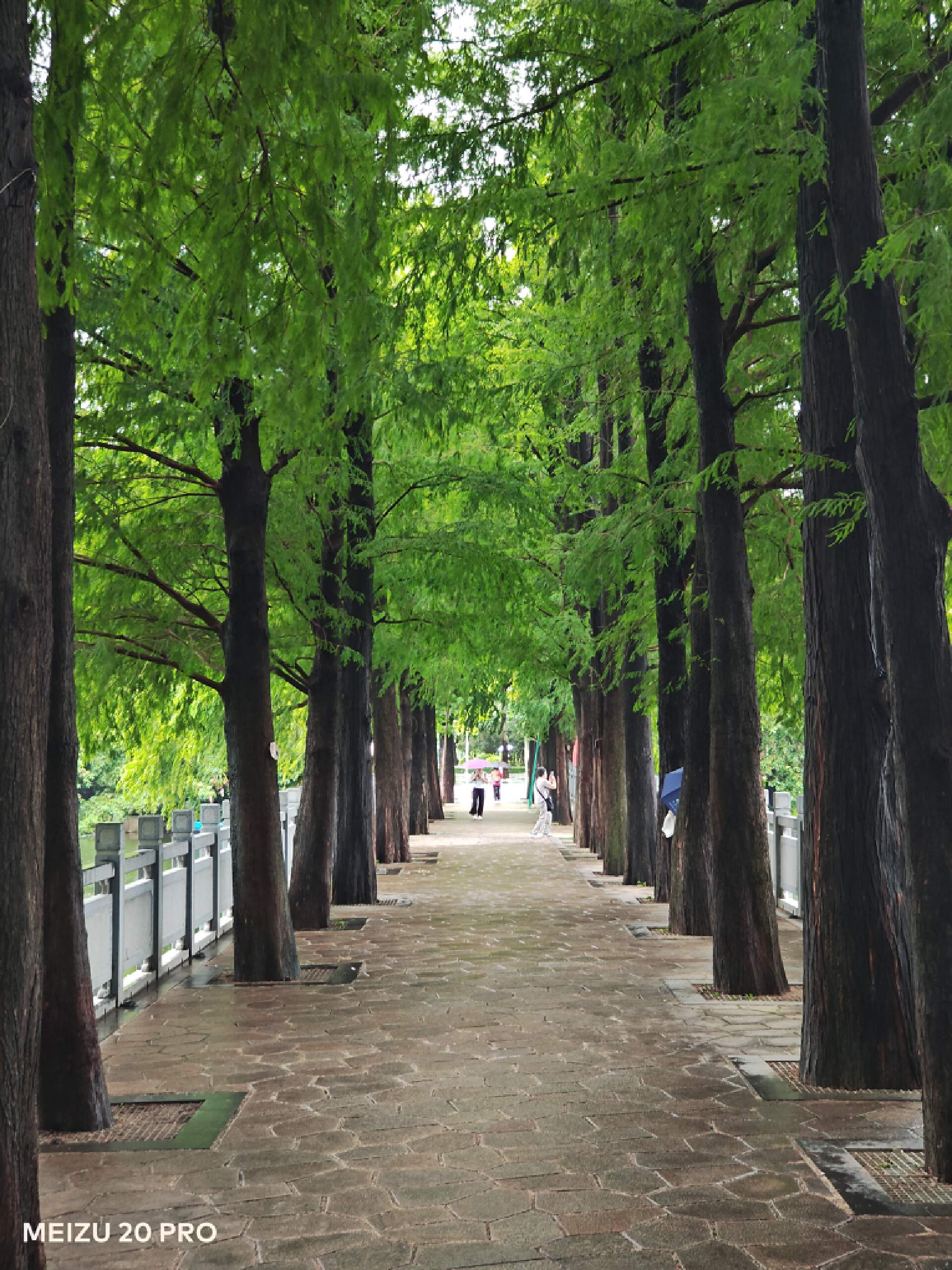 魅族20pro拍照效果怎么样呢,魅族20pro5000万拍照