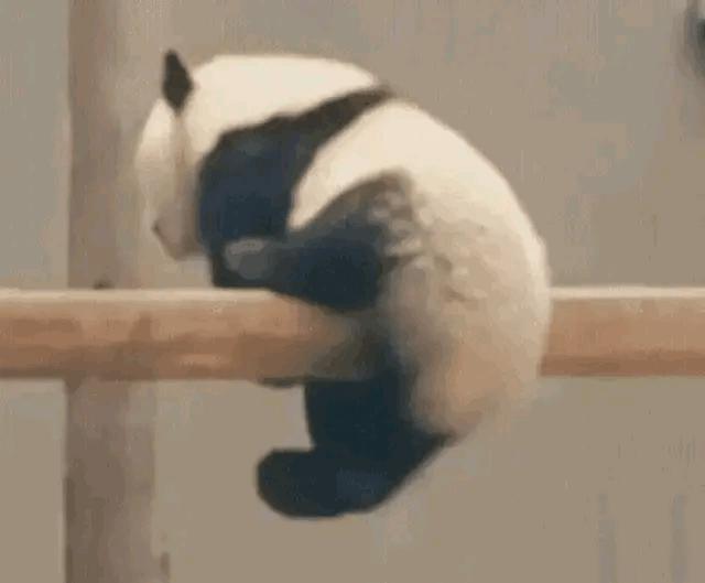 宣传社会主义的16字口号,社会主义的口号标语