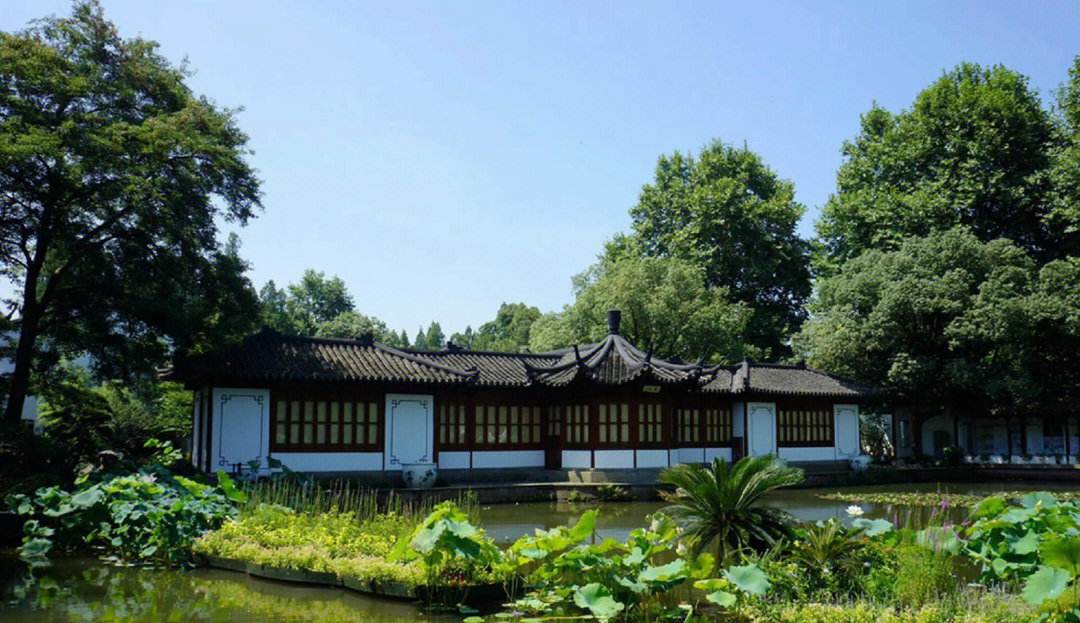 杭州6大品茶佳地推荐：喝完茶，心也清了