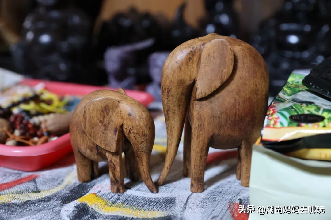 出发!长沙家门口的“非洲遛娃乐园”,小朋友最喜欢的长沙乐园!