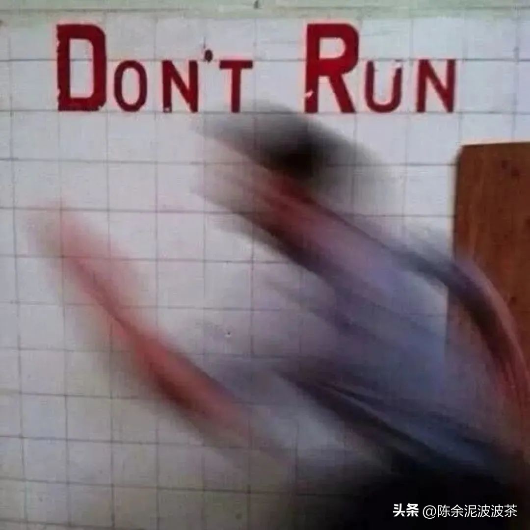 可爱的猫咪头像和小狗头像,团子头像可爱微信头像