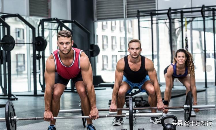 睾酮素低为什么要促睾,促睾酮对身体有什么影响