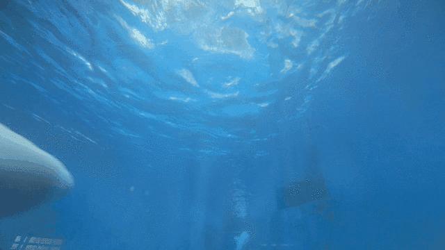 成都市暑假亲子游玩地点推荐,暑假成都亲子游推荐景点