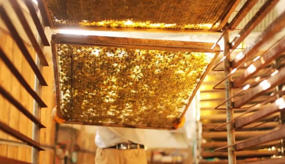 天热喝菊花有讲究，尤其50岁后，牢记“2喝2不喝”，喝对益处多