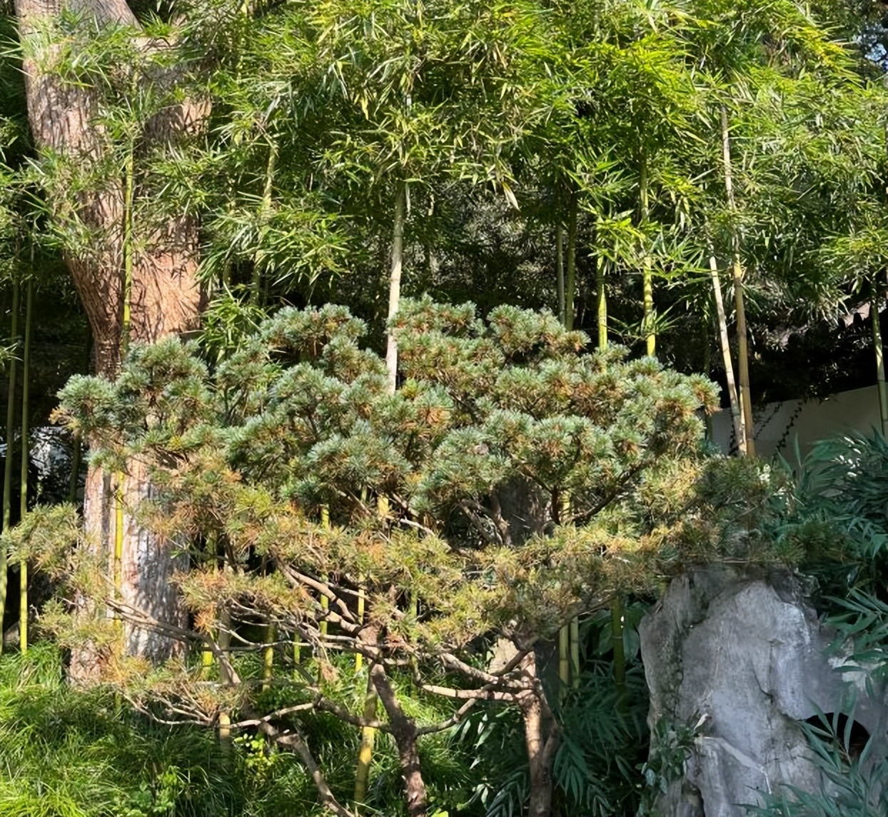 雷峰塔值得看的地方,杭州雷峰塔美景视频