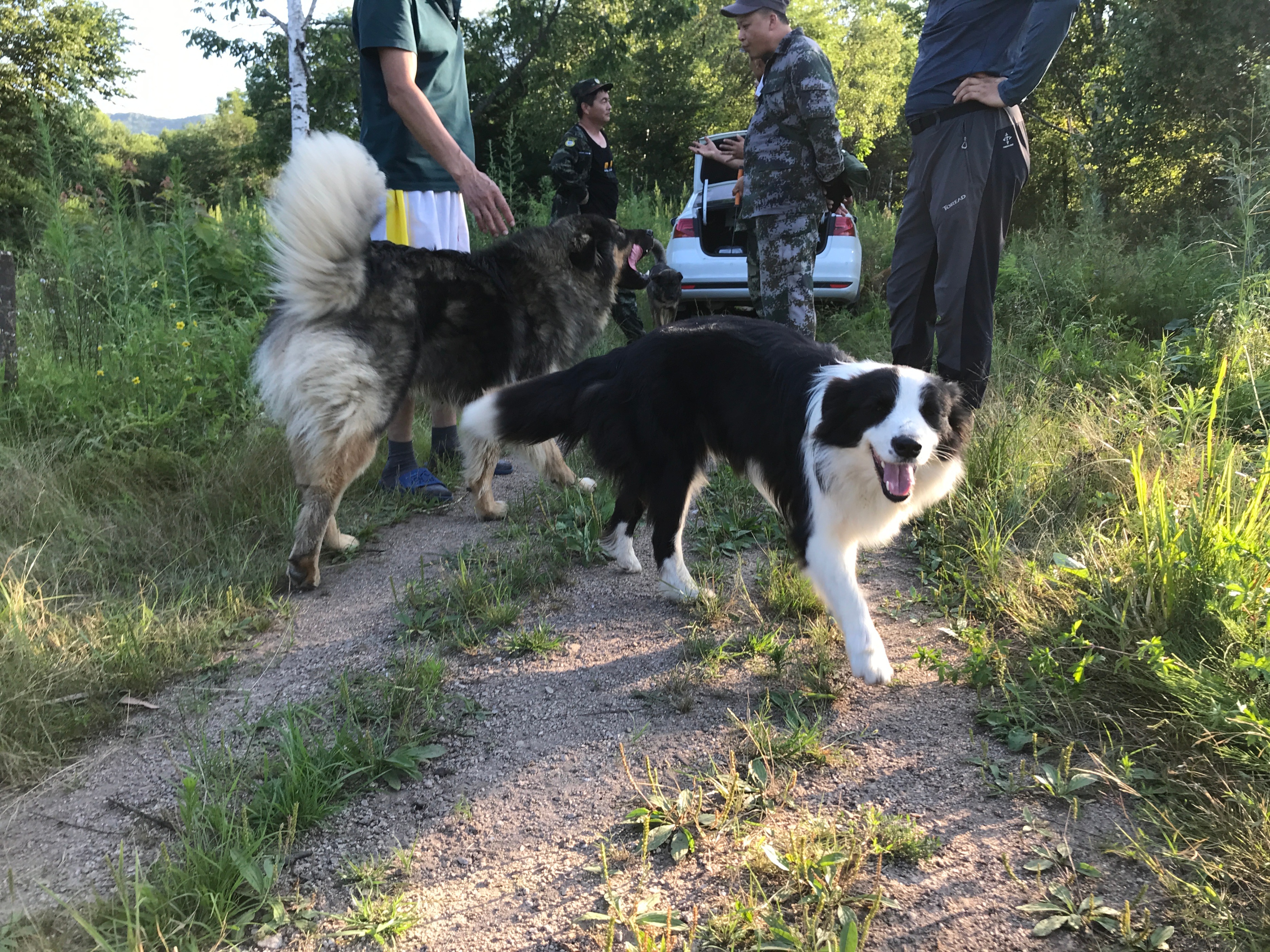 探秘摩艾石像,探秘摩迈尔洞穴