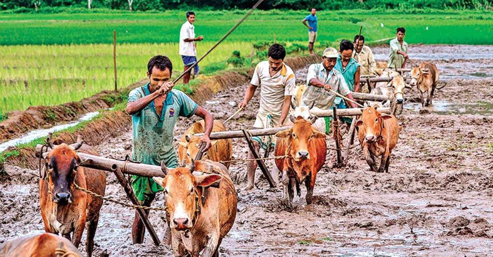 印度对华贸易逆差带来风险,印度对华逆差