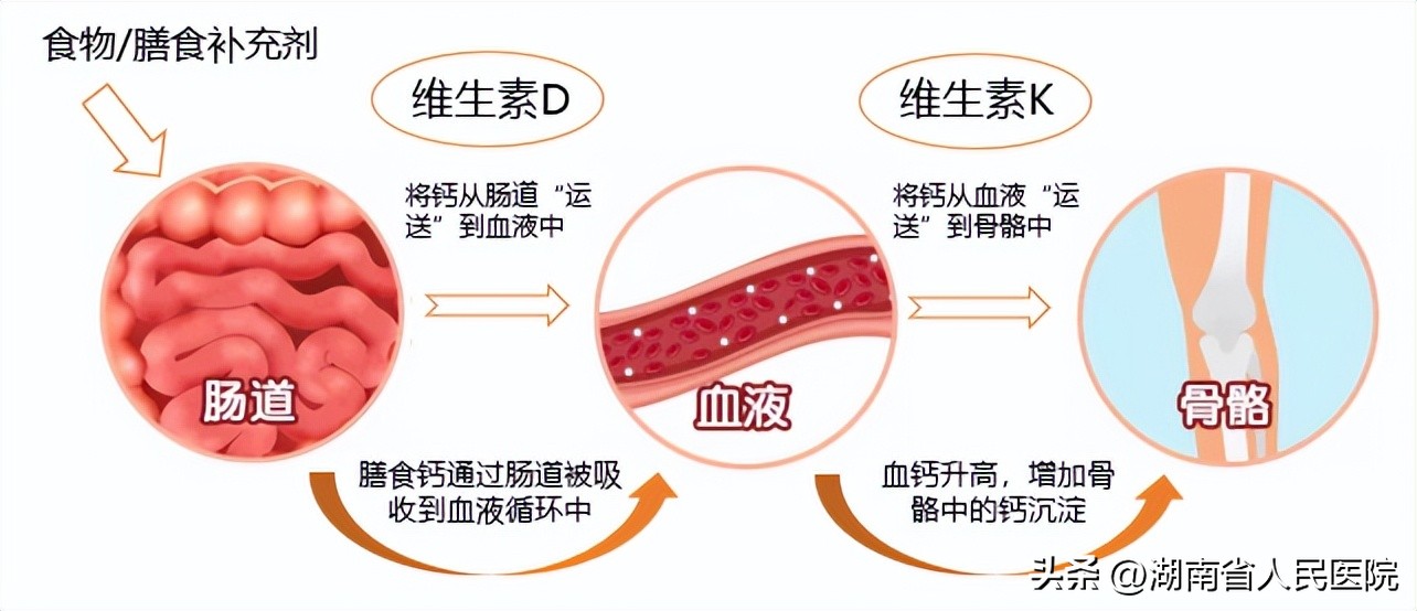 最新儿童身高标准表快收藏,春季孩子身高暴涨期