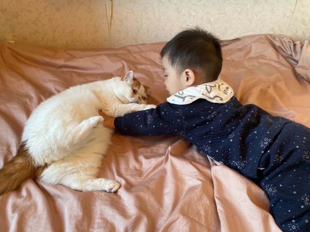 那就好好告个别吧，用你们最难忘的Moment