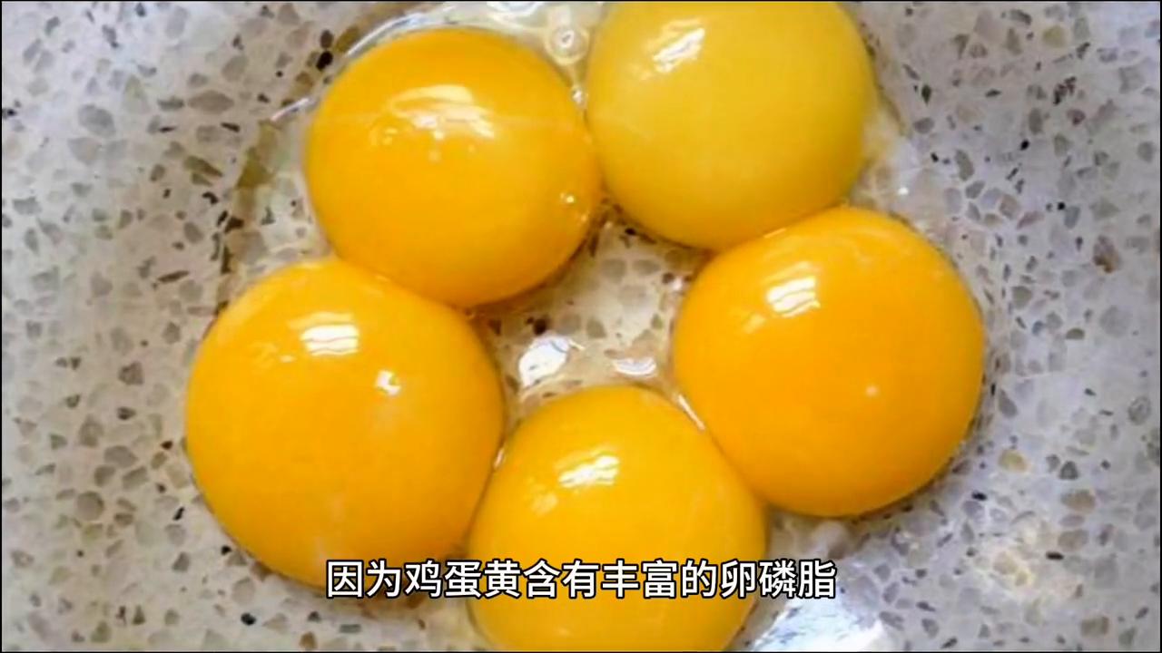 萨摩耶毛发怎么变白,萨摩耶毛发变黄怎么办